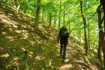 Teenager hiker walking on a mountain trail