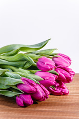 Tulpen