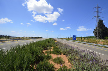 road number 9