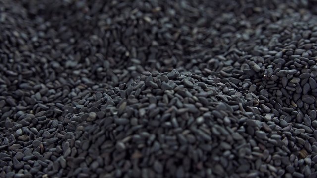 Black Sesame (not loopable)