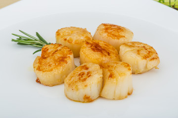 Grilled scallops