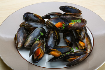 Boiled mussels