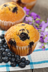 Homemade blueberry muffins with fresh blueberries