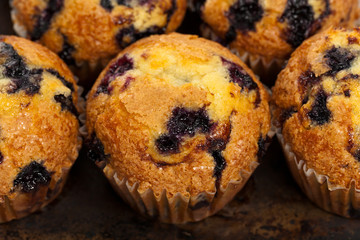 Blueberry Muffins. Selective focus.