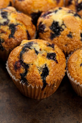 Blueberry Muffins. Selective focus.