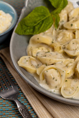 Tortellini with Basil Cream Sauce. Selective focus.