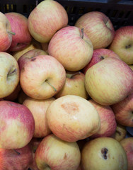 Organic and fresh  apples background direct from the farm