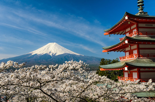 Mount Fuji with pagoda and cherry trees, Japan