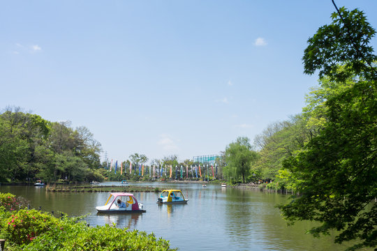 The Ｆresh green trees in Zenpukuji park,Tokyo