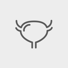 Uterus and ovaries thin line icon