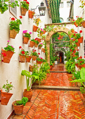 Patio in Cordoba, Spain   © Horváth Botond