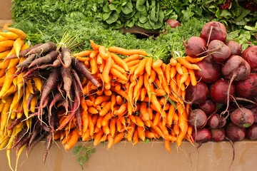 Carrots and Radishes