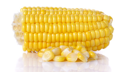 corn isolated on a white background