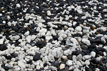 pebbles beach