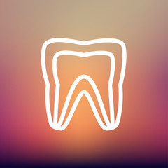 Molar tooth thin line icon