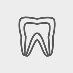 Molar tooth thin line icon