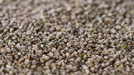 Hemp Seed background