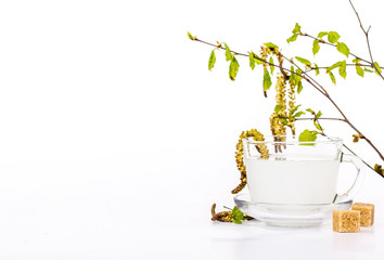 Isolated transparent cup of birch sap with birch leaves