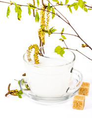 Isolated transparent cup of birch sap with birch leaves
