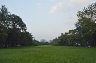 Bicycle on green grass field in big city park, Bangkok