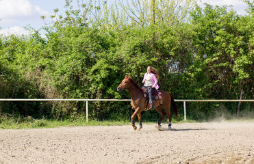Beautiful girl riding a  purebred horse