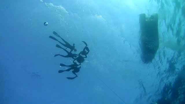 Freediver descends to a Red Sea, Egypt
