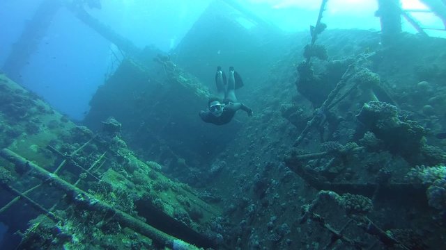 Freediver dives on the wreck Giannis D, Red Sea 
