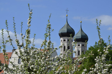 Baumblüte beim Kloster Benediktbeuern