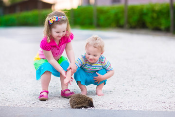 Two kids watching a hedgehog © famveldman