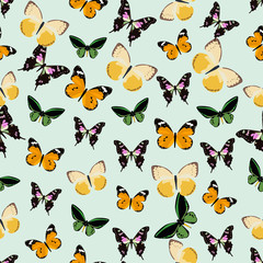 Seamless colorful background made of different butterflies in fl