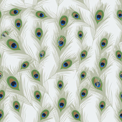 Obraz premium Seamless colorful background made of Peacock feathers