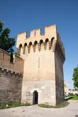 Fototapeta na wymiar Remparts d'Avignon