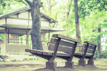 Scenery with the bench