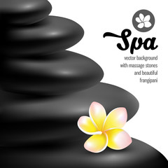 Spa massage stones