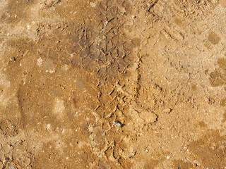 Sand