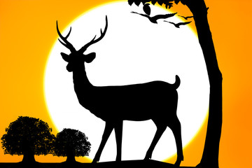 Silhouettes of deer on big sunset and eagle fly on sky background Wild life landscape