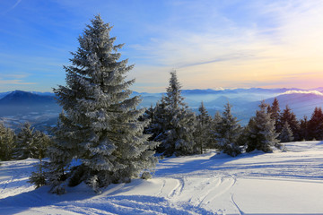 winter scene in mountains © Pavlo Klymenko
