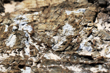 Stone texture closeup background