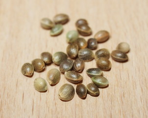 Hemp seeds close up isolation on wood background