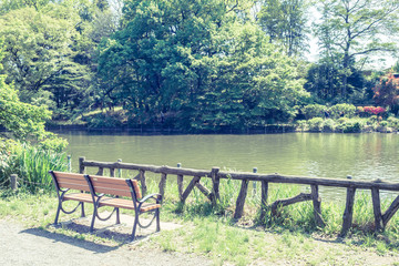 Scenery with the bench