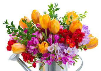freesia and tulip flowers