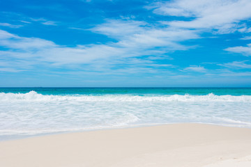 beach and sea in Tasmania