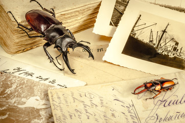 Vintage greetings from abroad