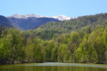 Fototapeta premium Small lake in Dilijan, Armenia