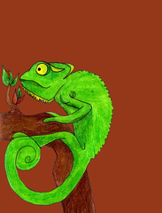 Chameleon cartoon vector illustration