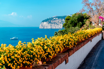 Fototapeta premium Flowers in Piano di Sorrento. Amalfi Coast. Italy