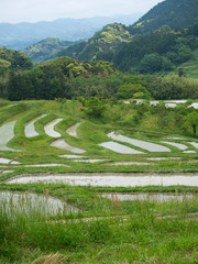 山間の棚田