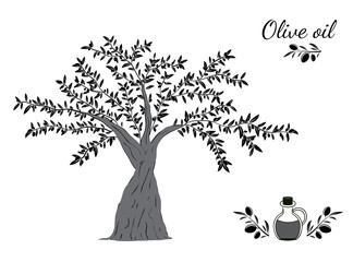 Olive tree and oil
