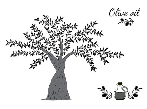Olive tree and oil