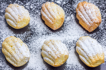 Sugar powdered madeleines on baking tray